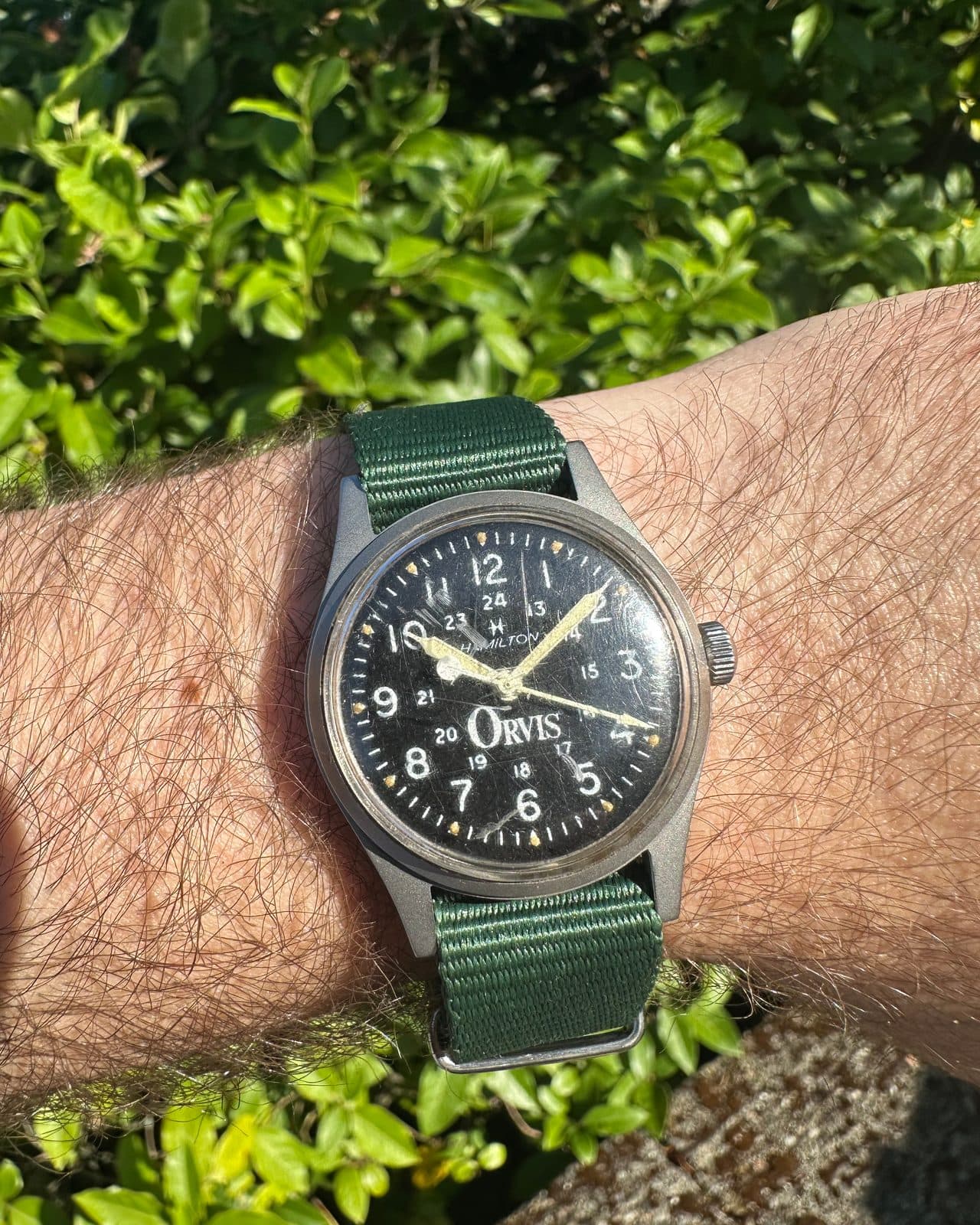 Hamilton Khaki Field