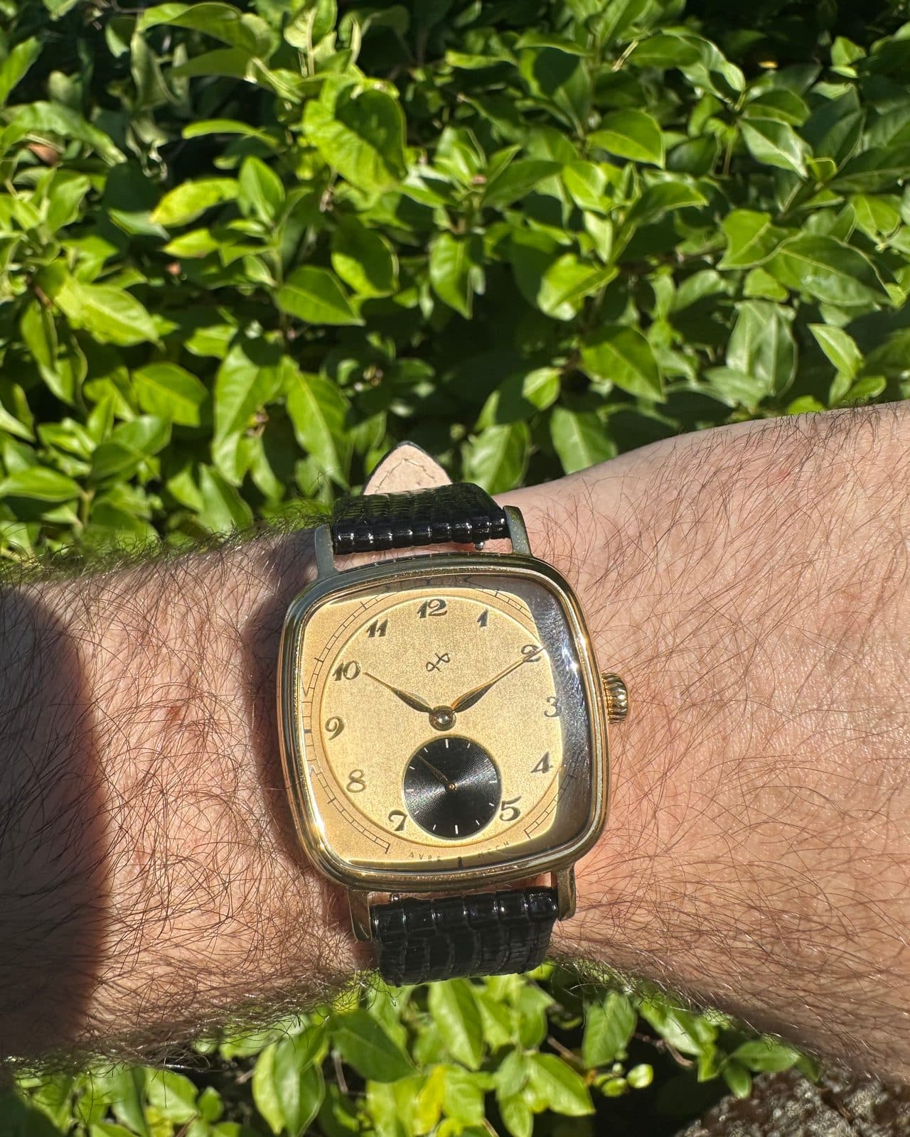 AV86 1954 Amalfi Mechanical